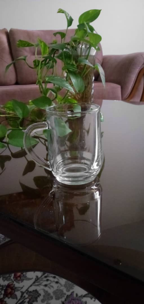 نیم لیوان زنگان گلس مدل راشل کد 1405 بسته 6 عددی 1 نیم لیوان زنگان گلس مدل راشل کد 1405 بسته 6 عددی